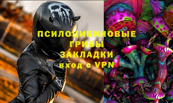 стаф Верхний Тагил