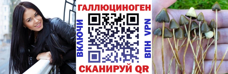 ссылка на мегу   Зверево  Галлюциногенные грибы ЛСД 